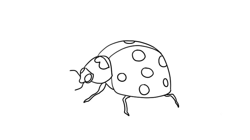 甲虫怎么画 简单图片