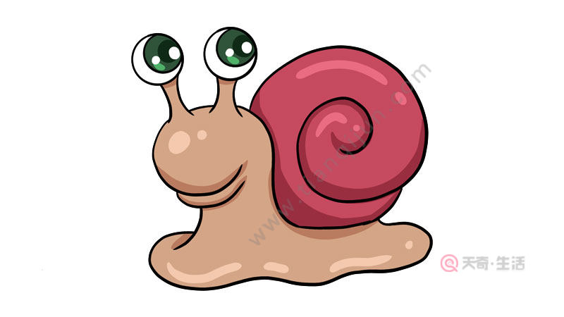蜗牛简笔画 蜗牛怎么画简笔画