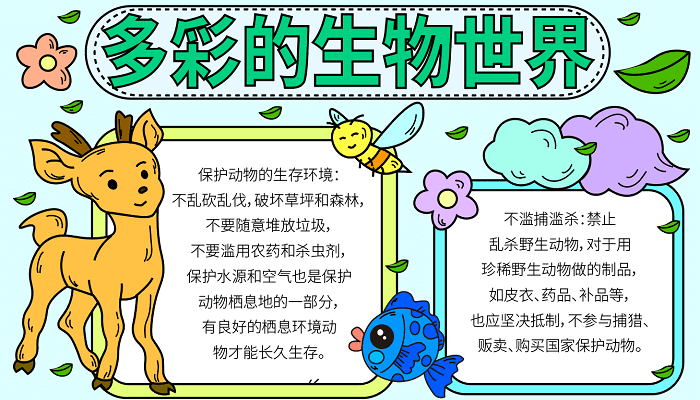 生物手抄报角度图片