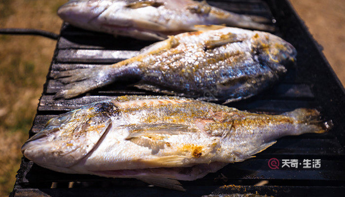 黃腳立魚是淡水魚還是海魚 黃腳立魚是海魚嗎