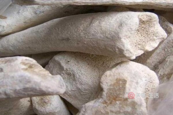 鹿角霜的功效与作用 鹿角霜的食用禁忌