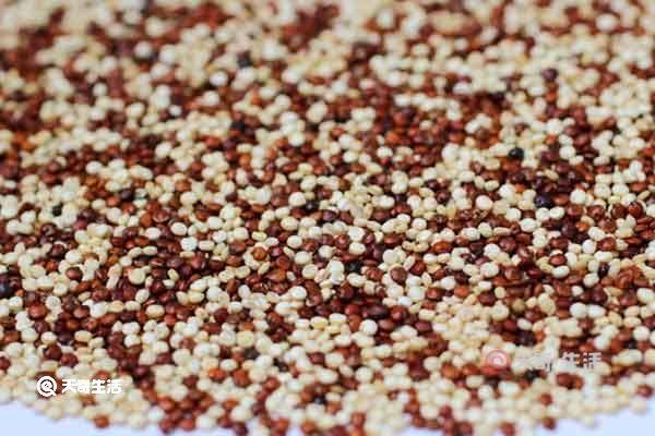 青海藜麦的功效与作用 青海藜麦的禁忌人群