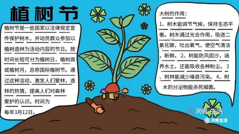 中国植树节手抄报内容图片