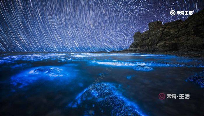 蓝眼泪是怎么形成的 海水蓝眼泪是怎么形成的