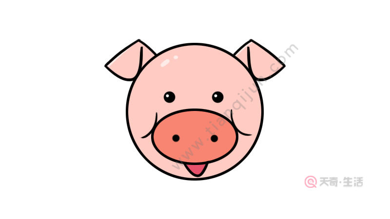 猪头的简笔画 可爱图片