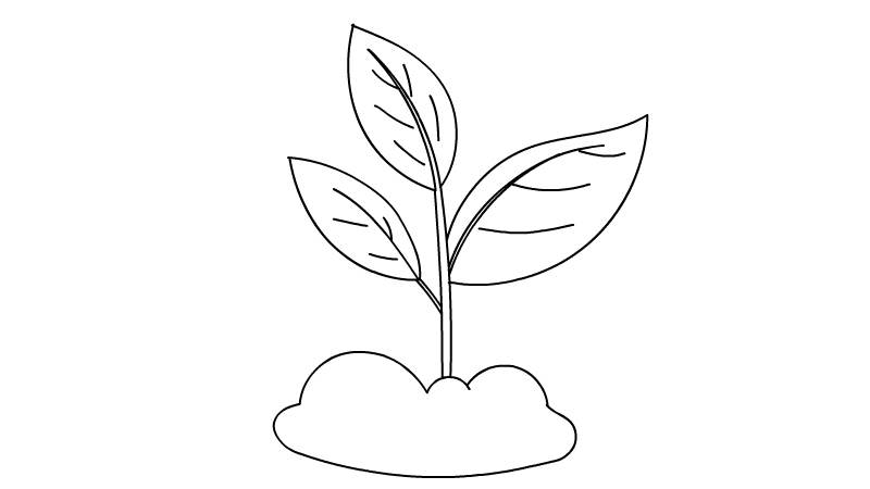 一排生长的植物简笔画图片