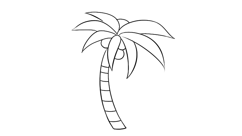 椰子树画法简笔画图片
