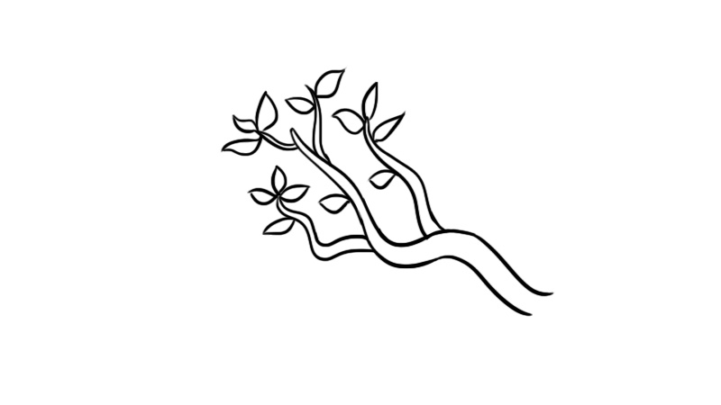 怎样画树干和树枝简笔图片