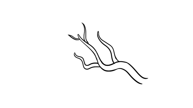 树枝怎么画 简单图片