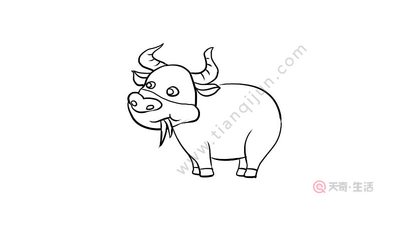牛简笔画