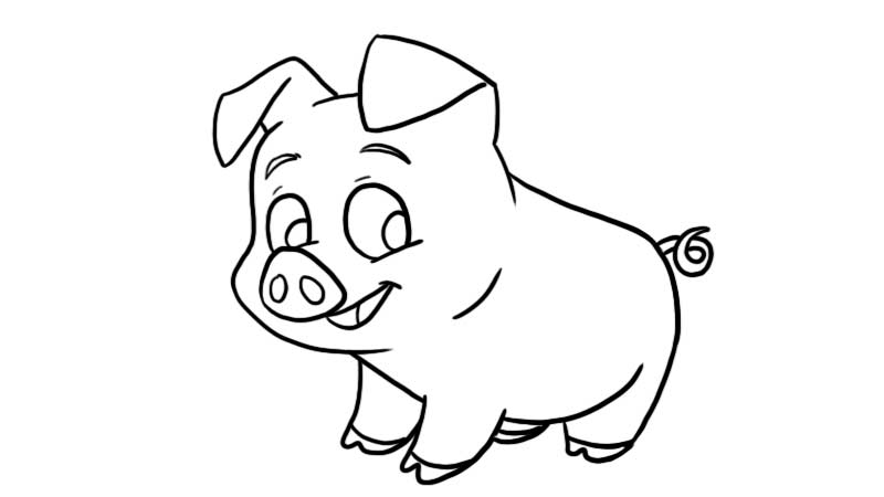 小猪的画法儿童简笔图片