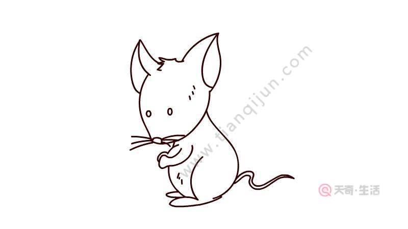 老鼠怎么画 可爱迪迦图片