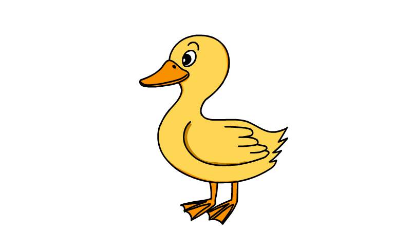 鸭的画法 简单图片
