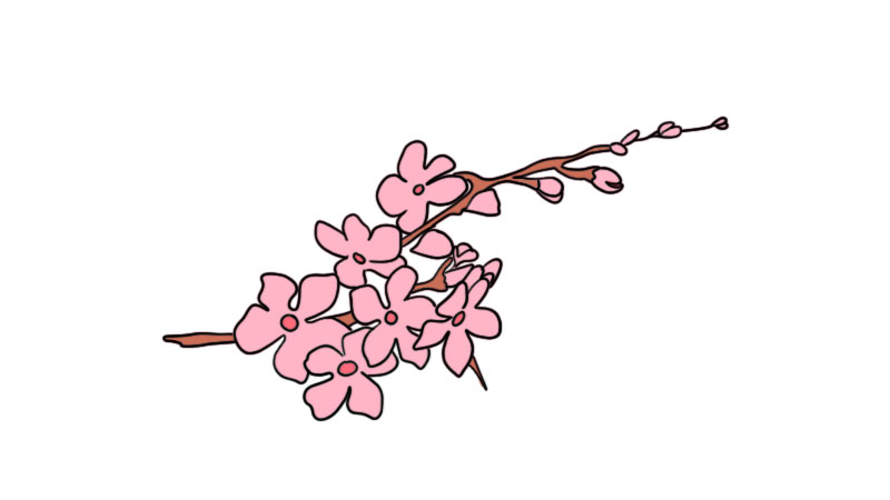 樱花枝简笔画图片