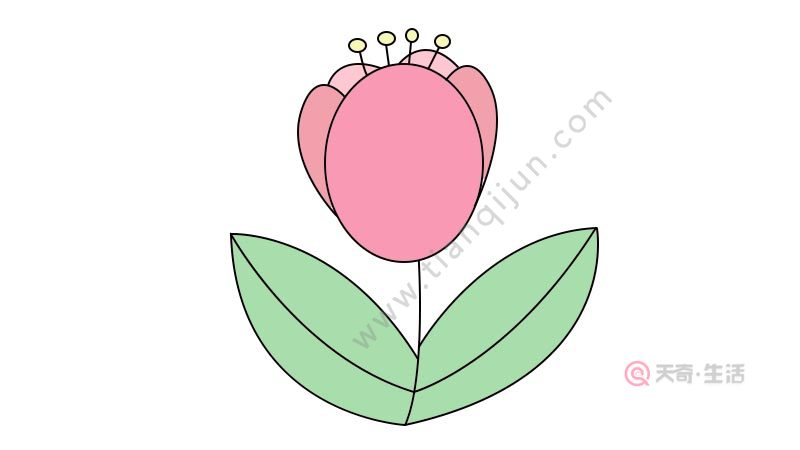 郁金香简笔画怎么画 郁金香简笔画画法