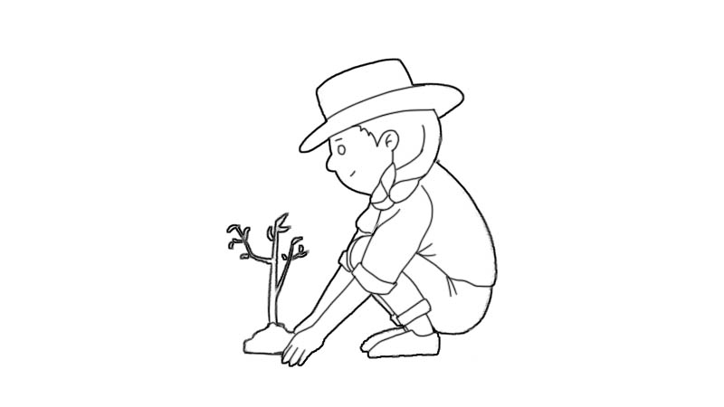 画植树简单图片