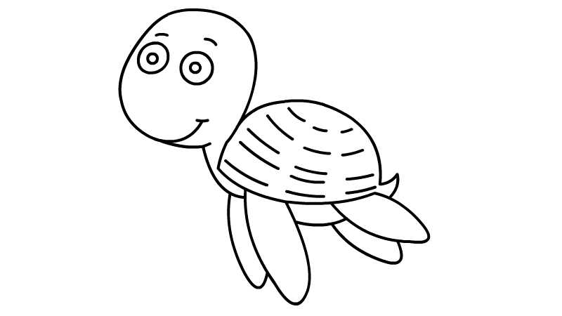 海龟简笔画侧面图片