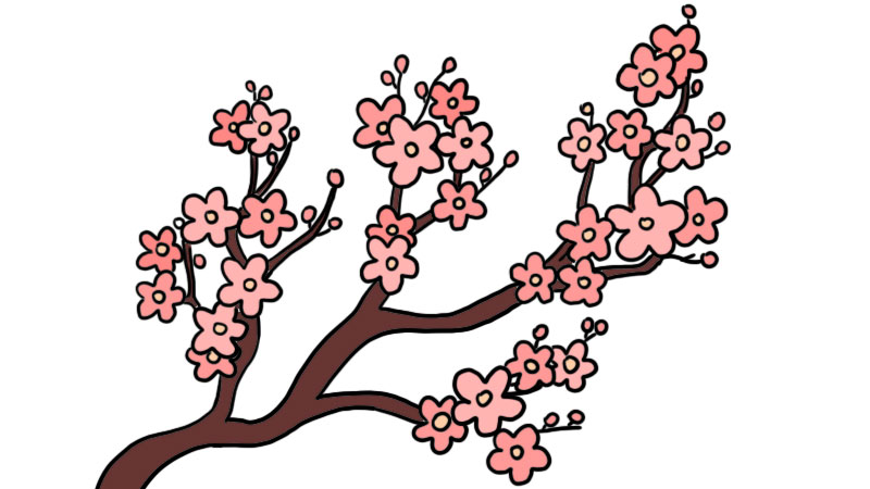 桃花树的简笔画 漂亮图片
