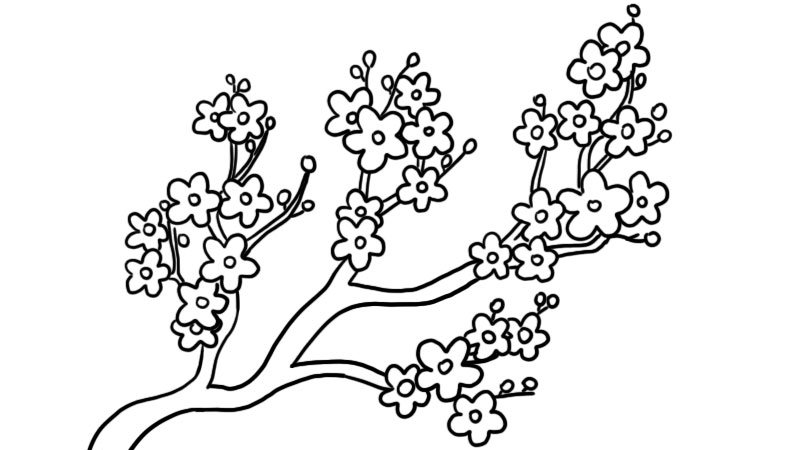 桃花树的图片铅笔画图片