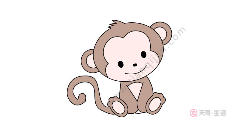 猴子画法简笔画简单图片