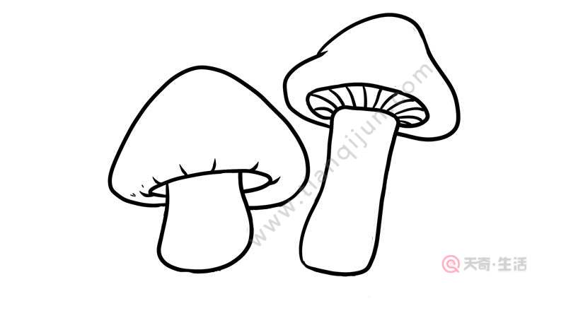 催眠蘑菇简笔画图片