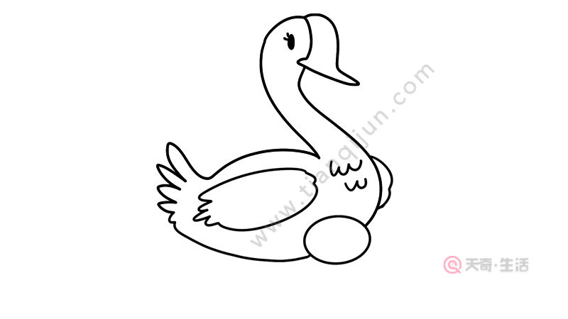 大白鹅的简笔画法图片