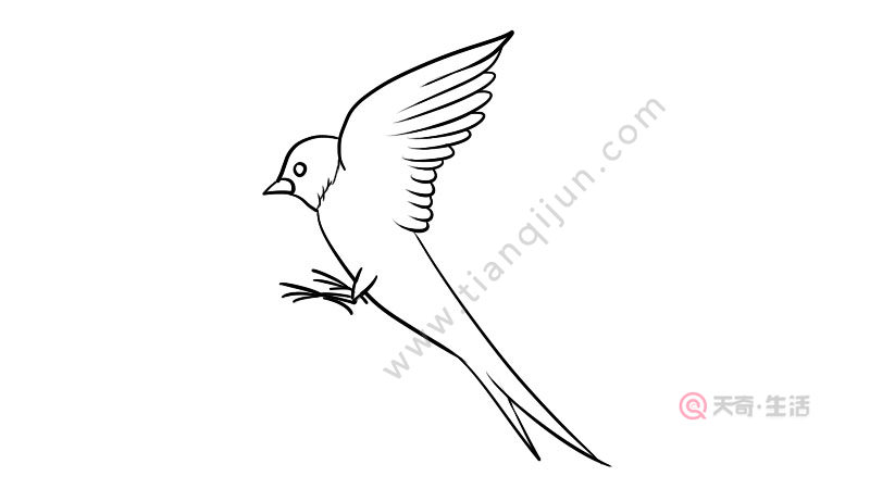 燕子简笔画 燕子的画法