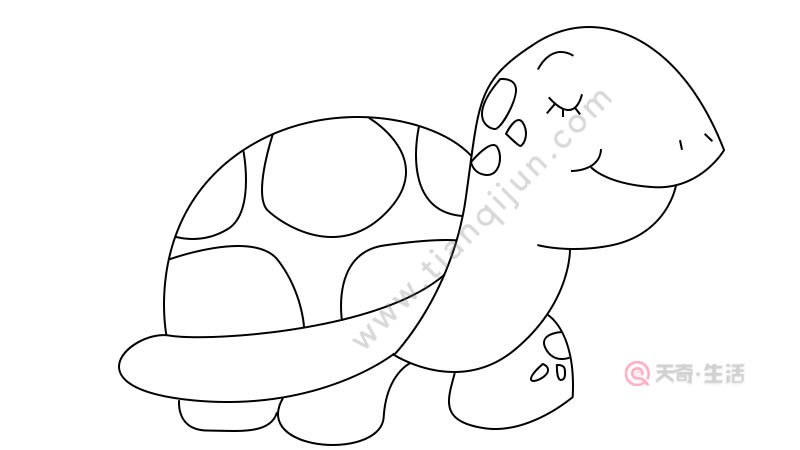站立的乌龟简笔画图片
