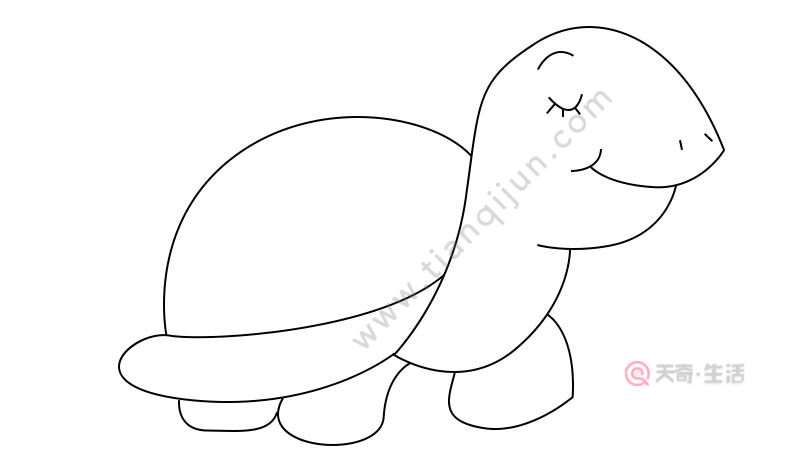 加拉帕戈斯象龟简笔画图片