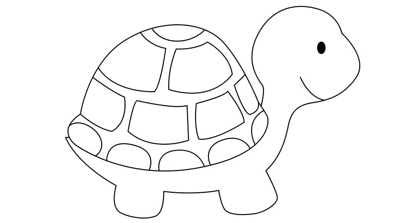红耳巴西龟简笔画图片