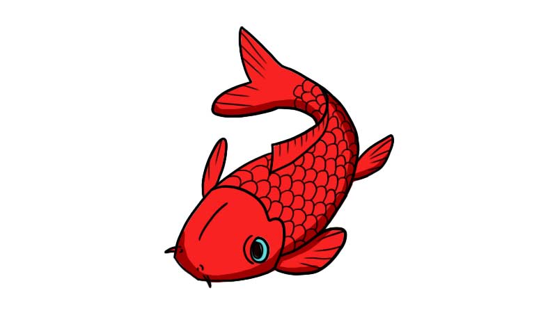 红色鲤鱼 简笔画图片