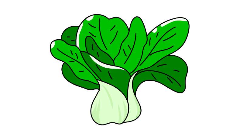 绿色蔬菜简笔画图片图片