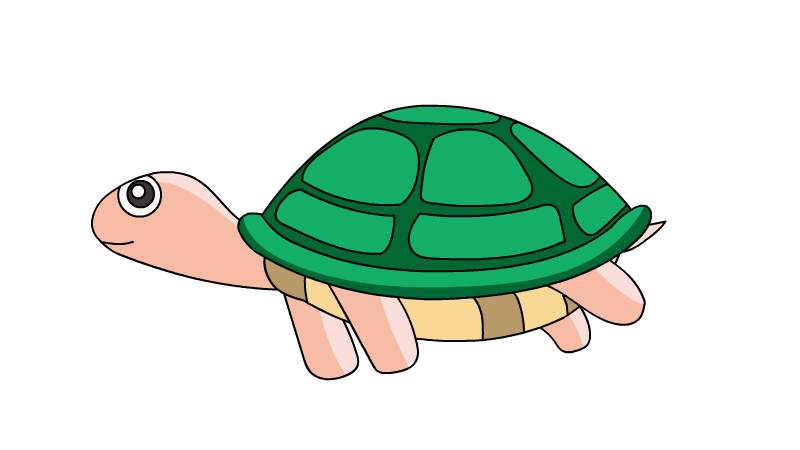 乌龟的简笔画彩色图片