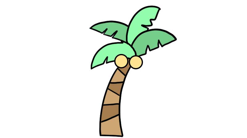 椰子树叶简笔画彩色图片