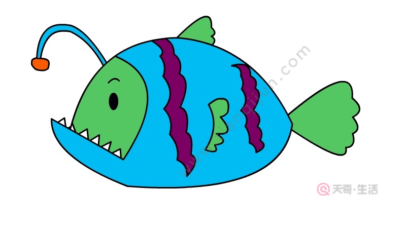 灯笼鱼简笔画怎么画 灯笼鱼简笔画的画法
