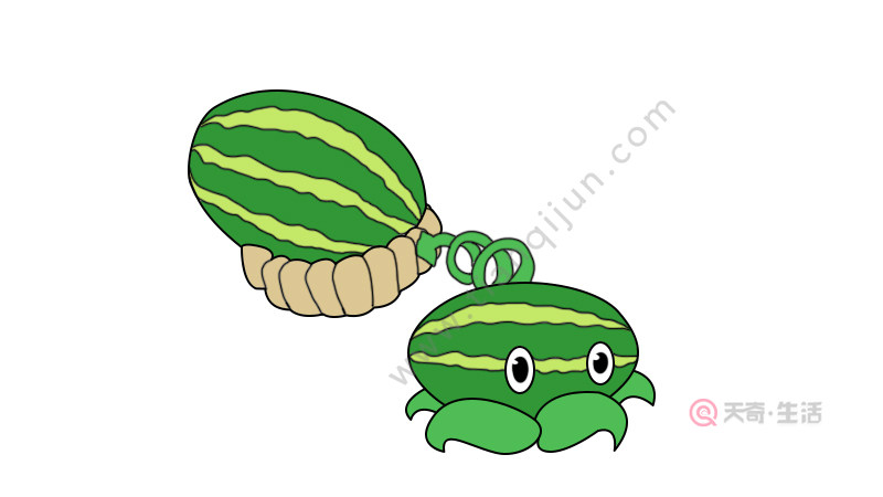 西瓜投手简笔画画法