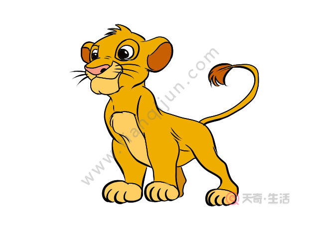 狮子王彩色简笔画图片图片