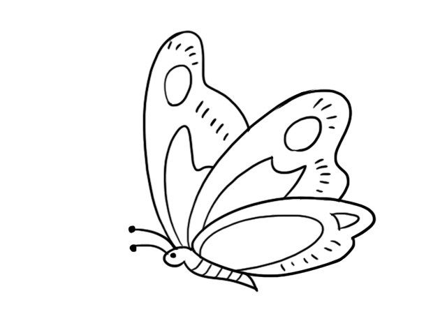 排笔画蝴蝶图片