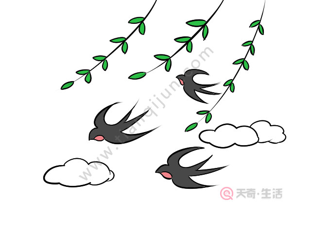 春天来了简笔画 春天来了怎么画