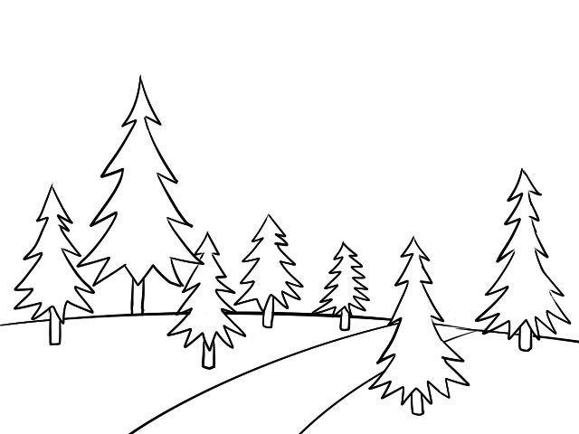 画一篇简单的树林图片