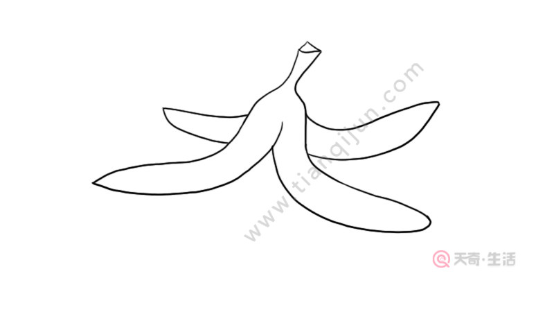 香蕉皮简笔画 香蕉皮的简单画法