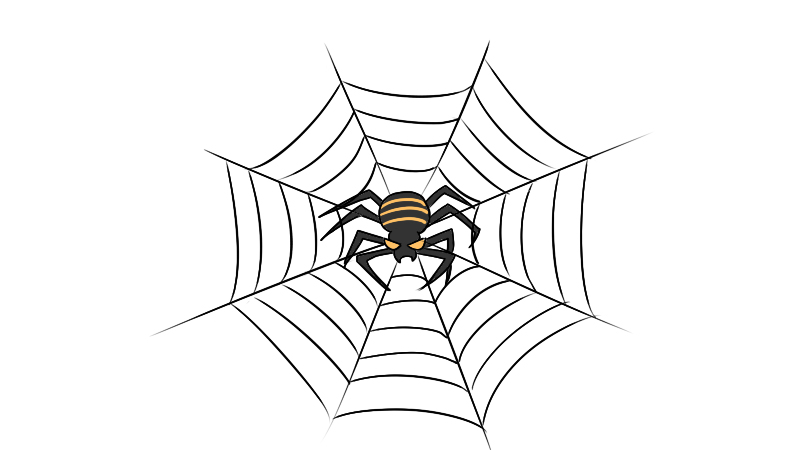 蜘蛛网画法图片