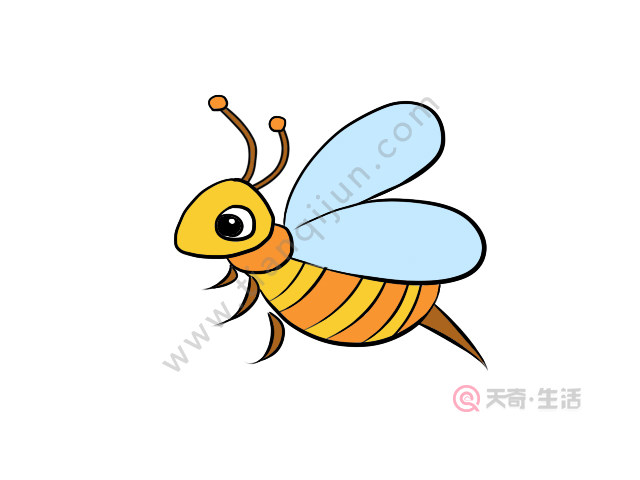 蜜蜂简笔画 蜜蜂的简单画法步骤