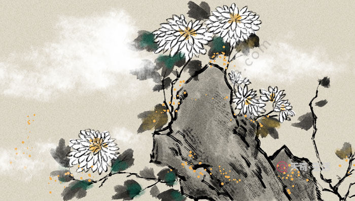 寒菊古诗拼音版 寒菊古诗带拼音