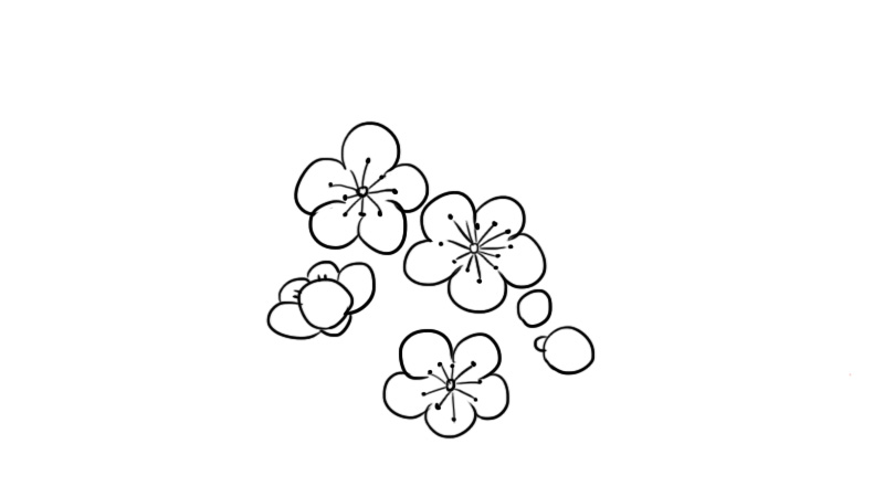 1,画出桃花的花瓣和花苞