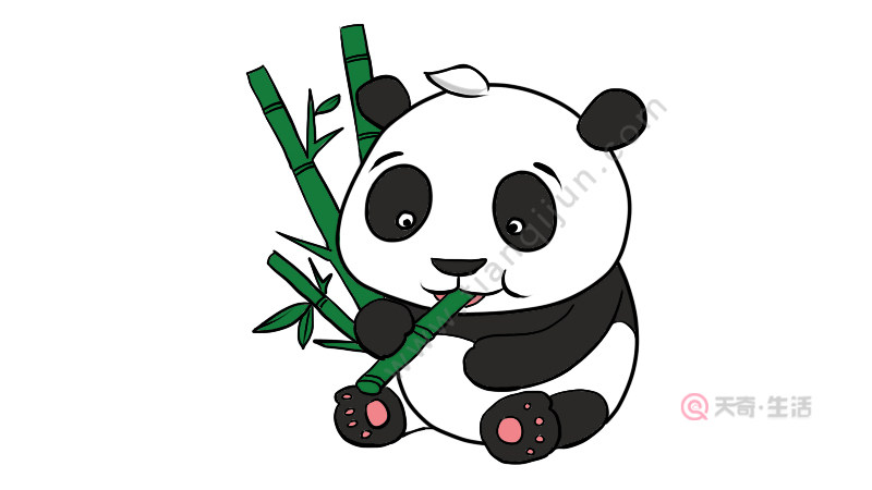 熊猫简笔画书签图片