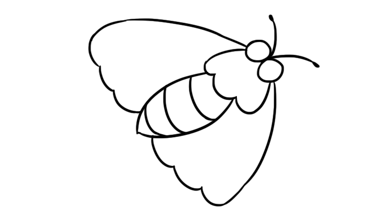 飞蛾怎么画简单图片