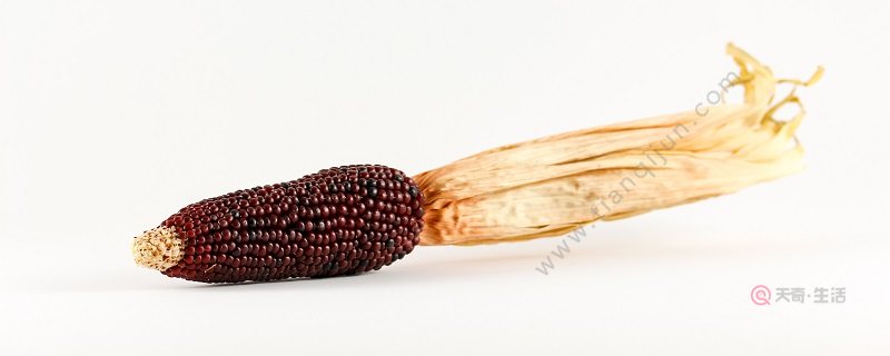 吃紫色玉米手怎么洗掉 紫色玉米沾手的清洗方法