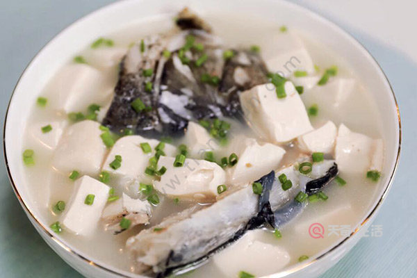 鱼头豆腐汤的家常做法(鱼头豆腐汤的家常做法视频)