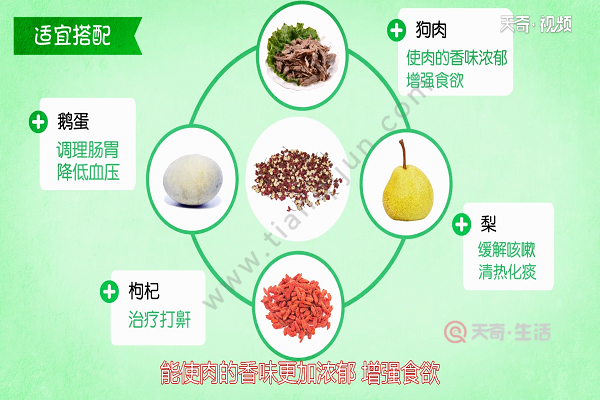 花椒的功效与作用